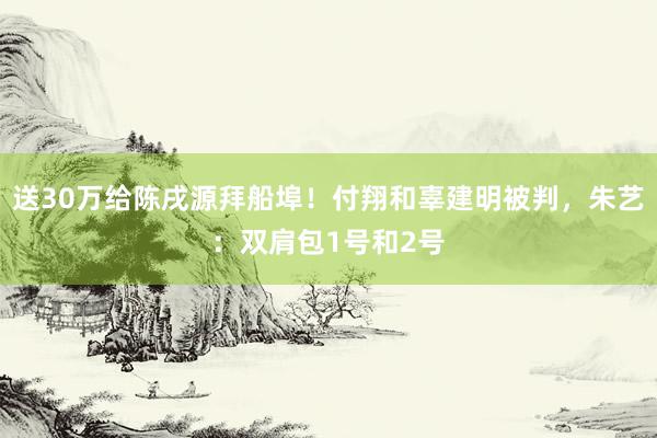 送30万给陈戌源拜船埠！付翔和辜建明被判，朱艺：双肩包1号和2号